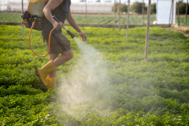 Best Exterminator Services  in Kewaunee, WI
