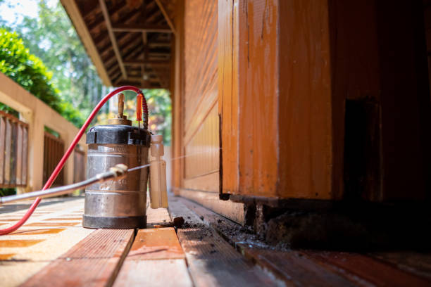 Best Wasp Removal Services  in Kewaunee, WI