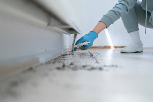 Best Pest Control for Homes  in Kewaunee, WI