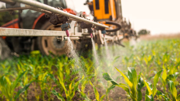 Best Insect Control  in Kewaunee, WI