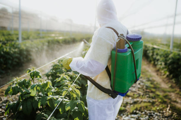 Best Ant Control Services  in Kewaunee, WI